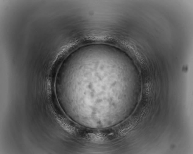 X0000100850688200806271136