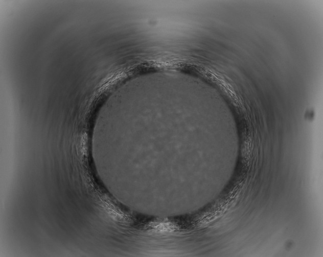 X0000100850689200806271136