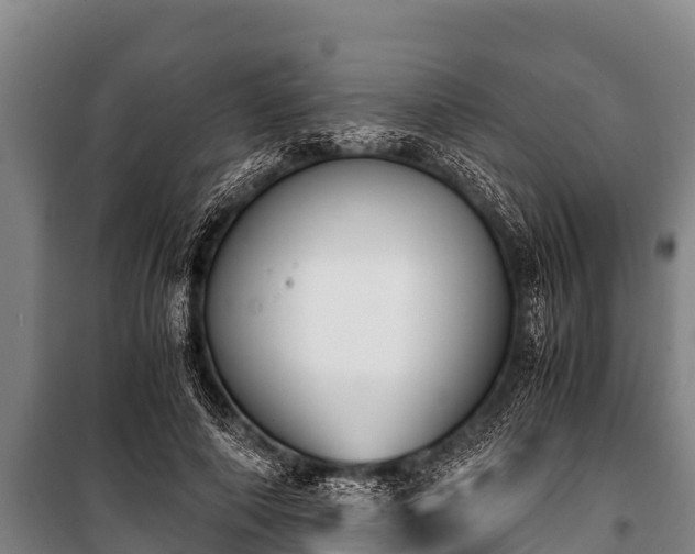 X0000100850690200806271136