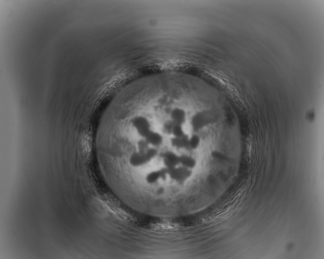 X0000100850691200806271136