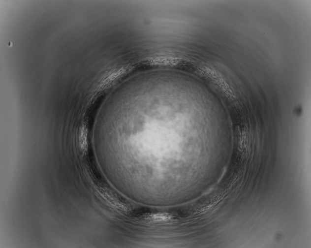 X0000100850692200806271136