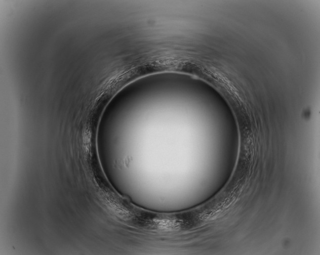 X0000100850693200806271136