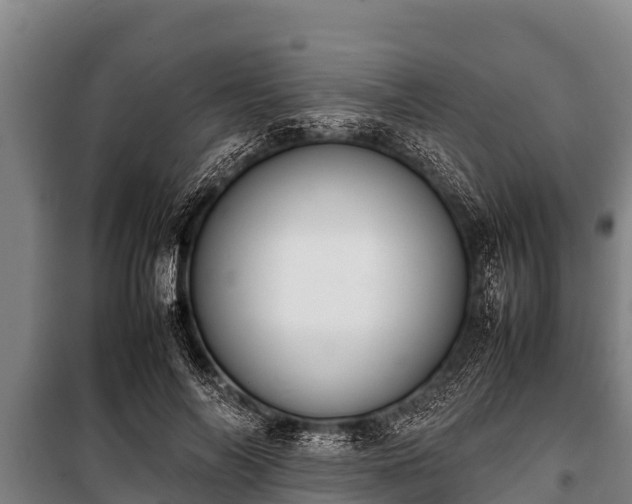 X0000100850694200806271136