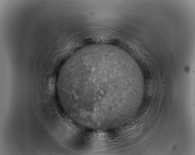 X0000100850695200806271136