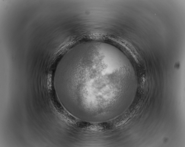 X0000100850696200806271136