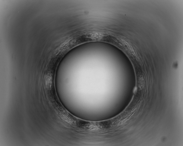 X0000100850697200806271136