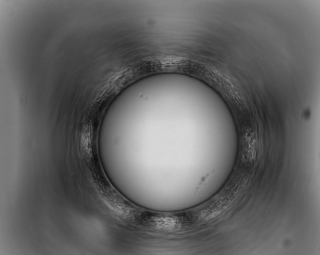 X0000100850698200806271136