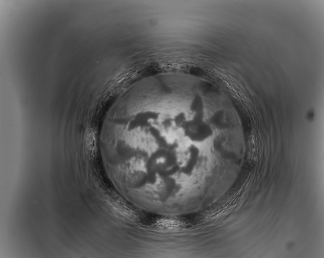 X0000100850699200806271136