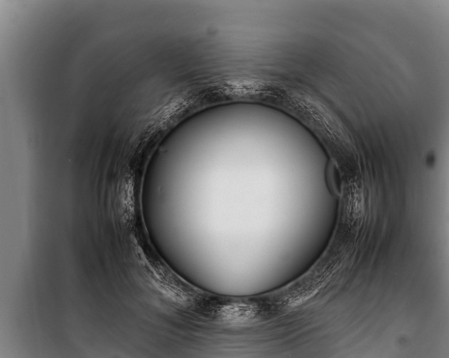 X0000100850700200806271136