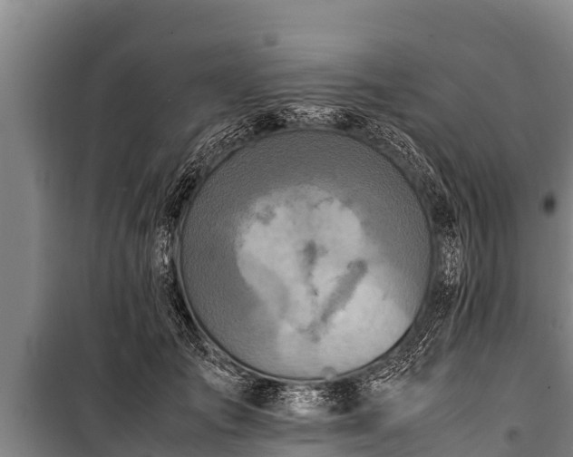 X0000100850701200806271136