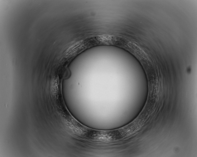 X0000100850702200806271136