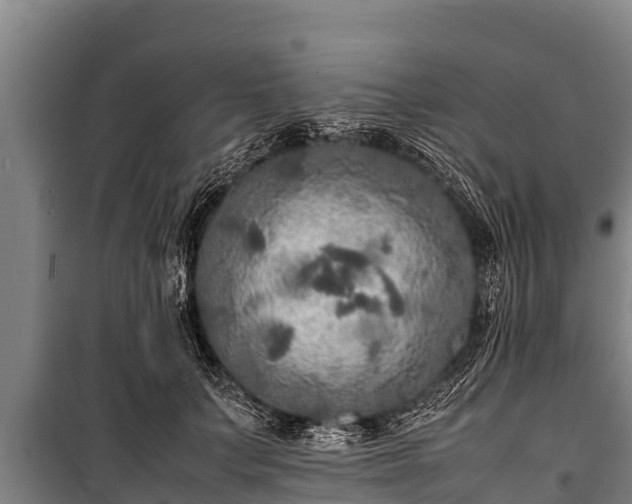 X0000100850703200806271136