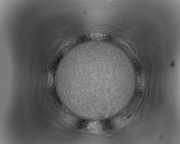 X0000100850705200806271136