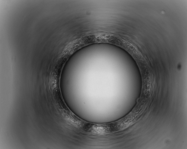 X0000100850706200806271136