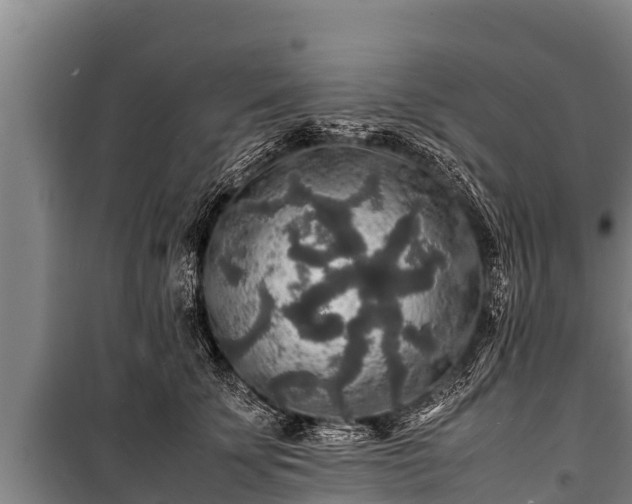 X0000100850707200806271136