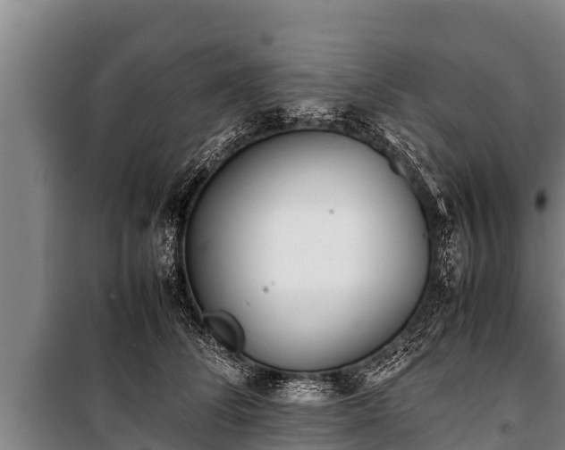 X0000100850708200806271136