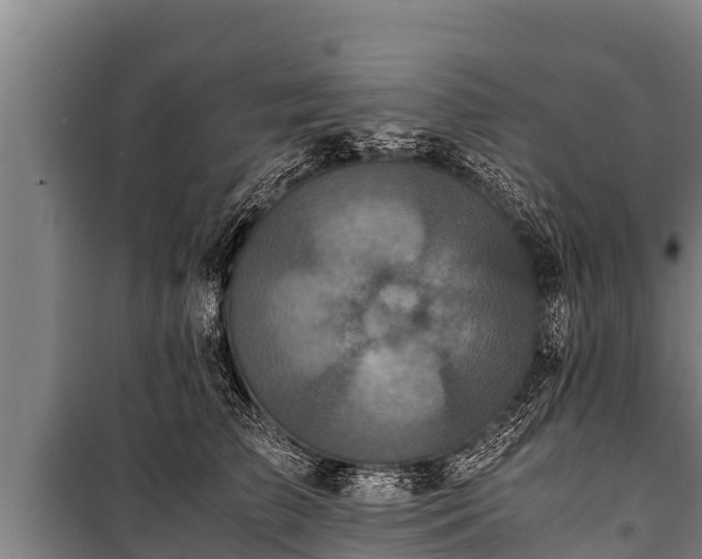 X0000100850709200806271136