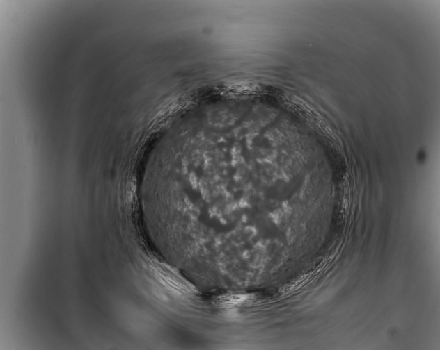 X0000100850711200806271136