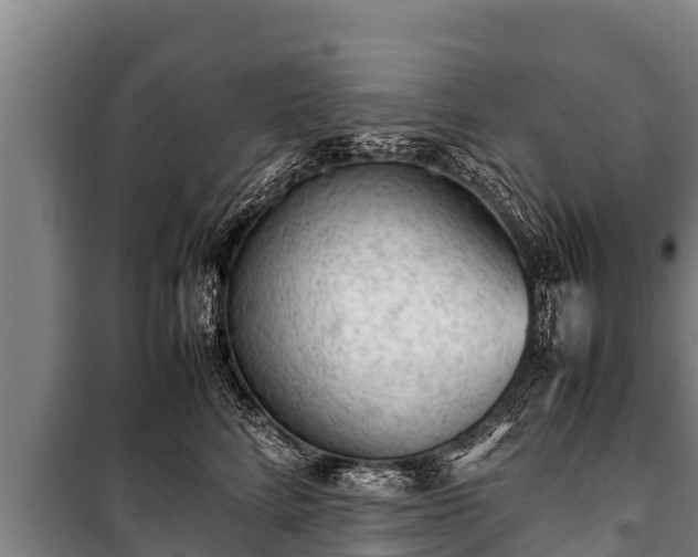 X0000100850712200806271136