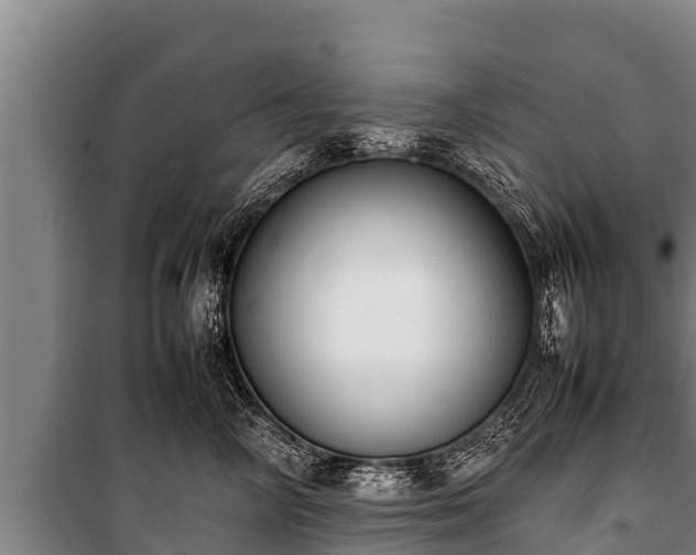 X0000100850714200806271136