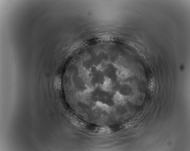 X0000100850715200806271136