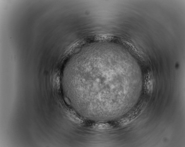 X0000100850716200806271135