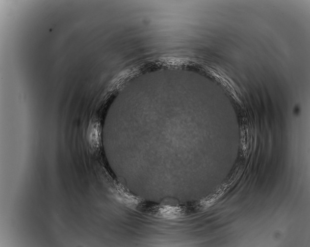 X0000100850718200806271135