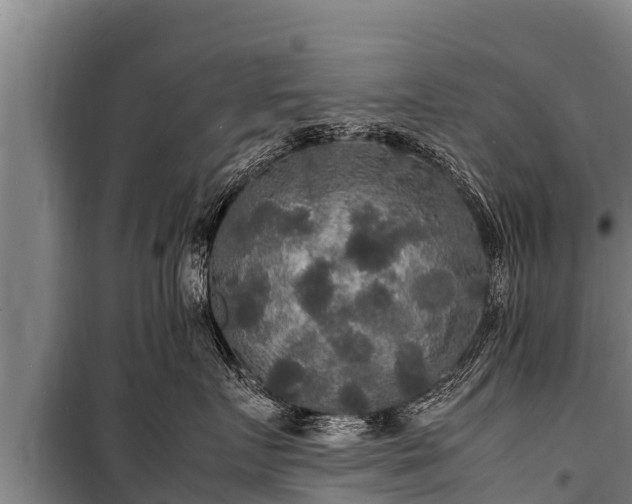 X0000100850719200806271135