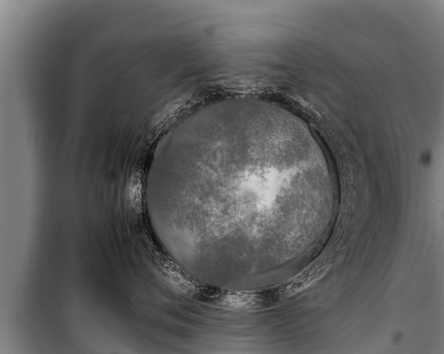 X0000100850720200806271135