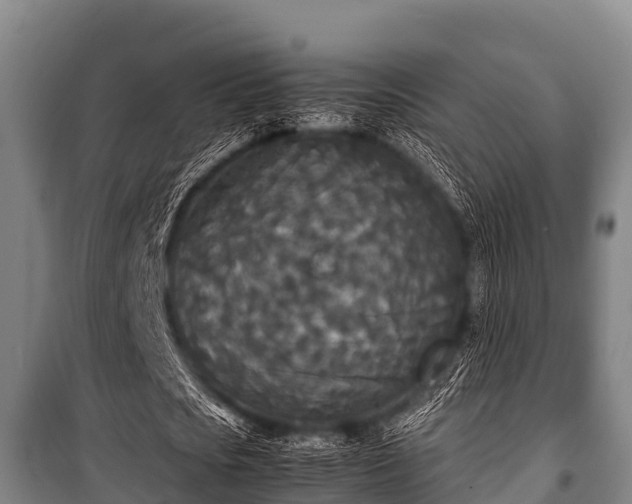 X0000100850721200806271135