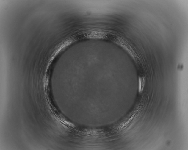 X0000100850723200806271135