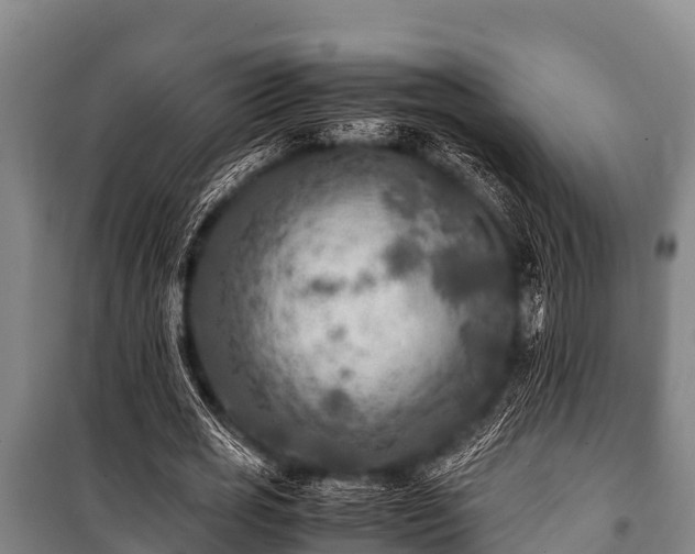 X0000100850725200806271135