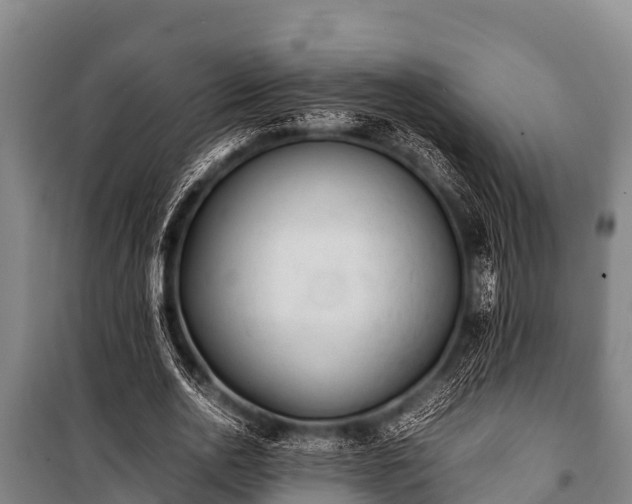 X0000100850726200806271135