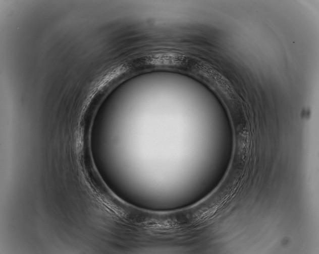 X0000100850727200806271135