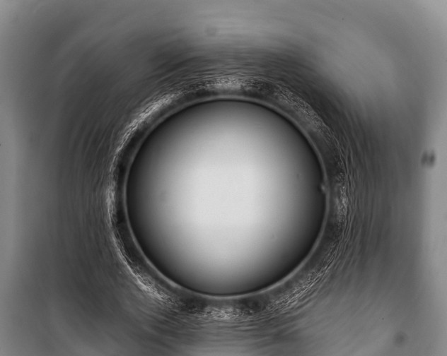 X0000100850728200806271135