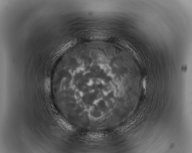 X0000100850729200806271135