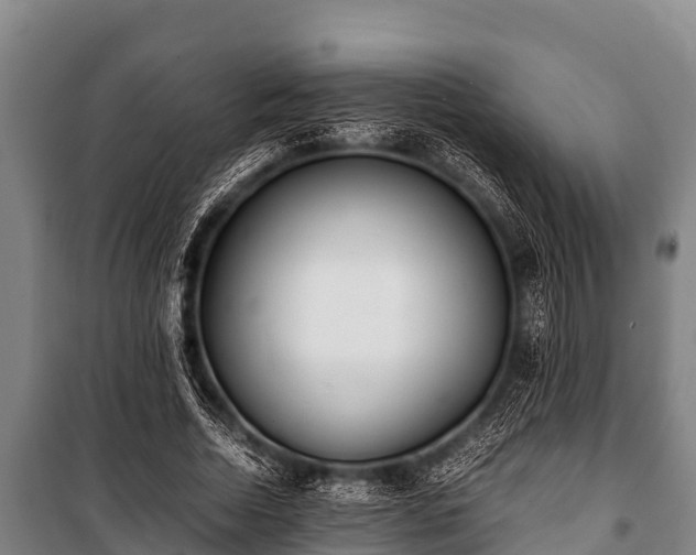 X0000100850730200806271135