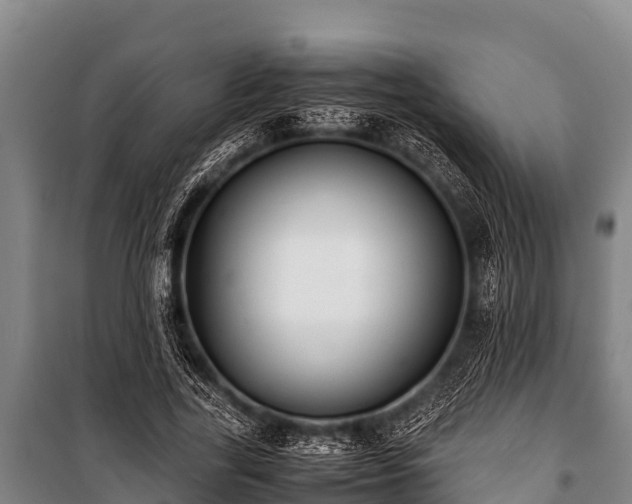 X0000100850731200806271135