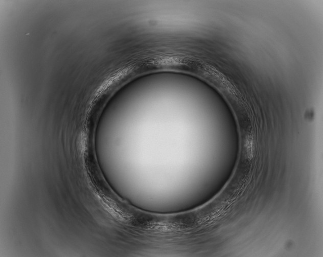 X0000100850732200806271135