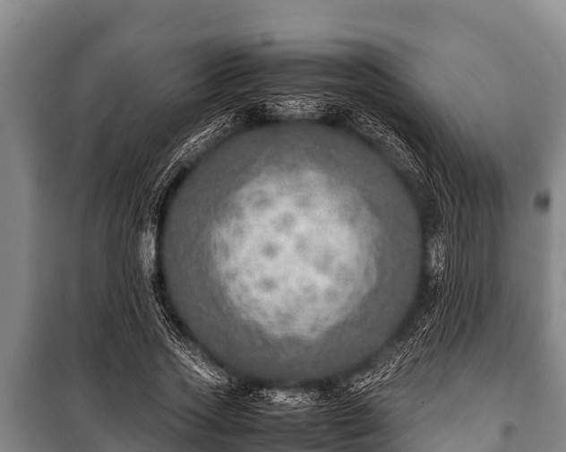 X0000100850733200806271135