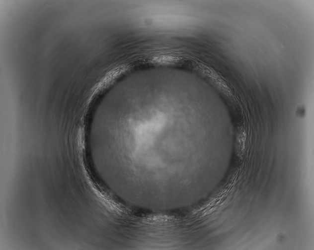 X0000100850734200806271135