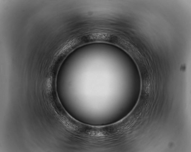 X0000100850735200806271135