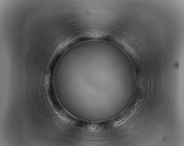 X0000100850736200806271135