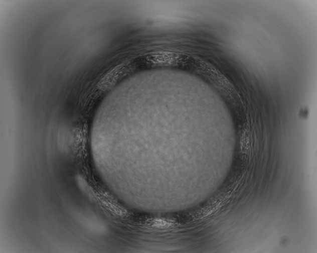 X0000100850737200806271135