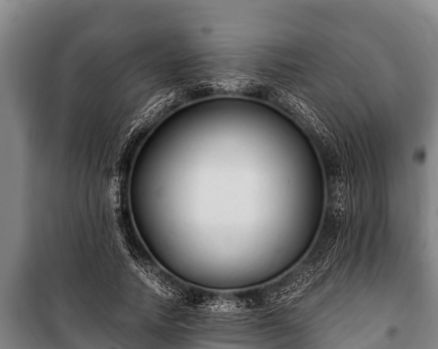 X0000100850738200806271135