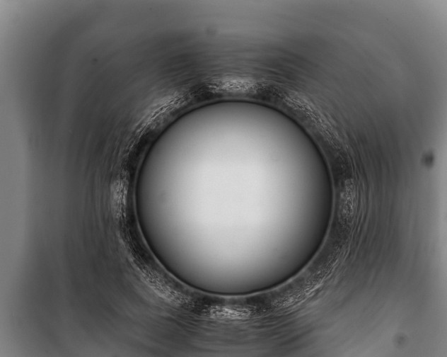 X0000100850739200806271135