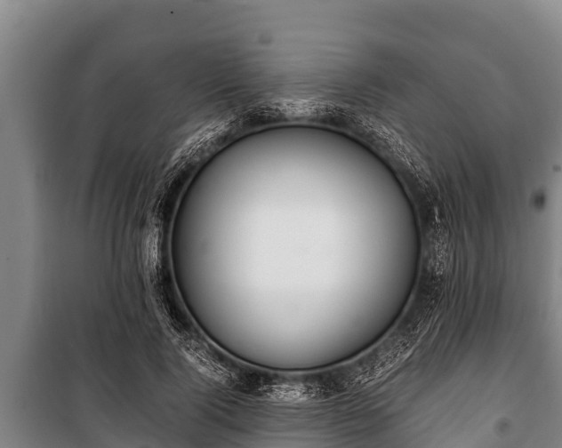 X0000100850740200806271135