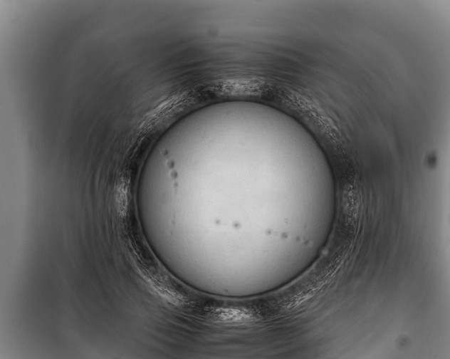 X0000100850741200806271135