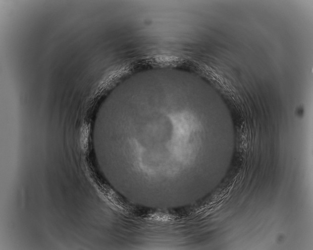 X0000100850742200806271135