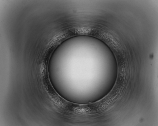 X0000100850743200806271135